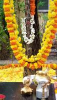Shirali  Day 10 -  Shami Puja